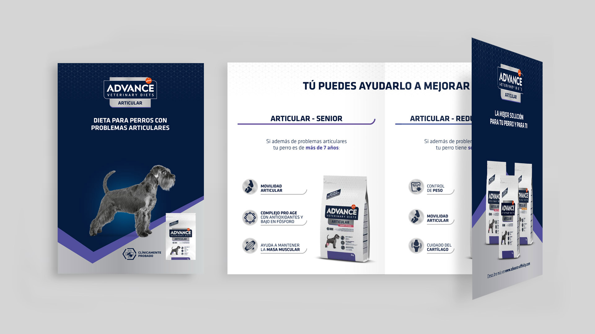 comunicacion-1